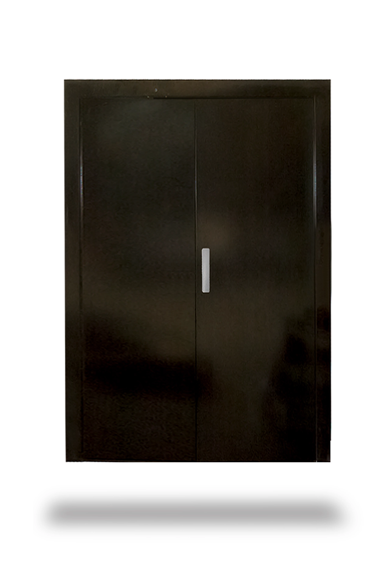 Porte palière 8P 80